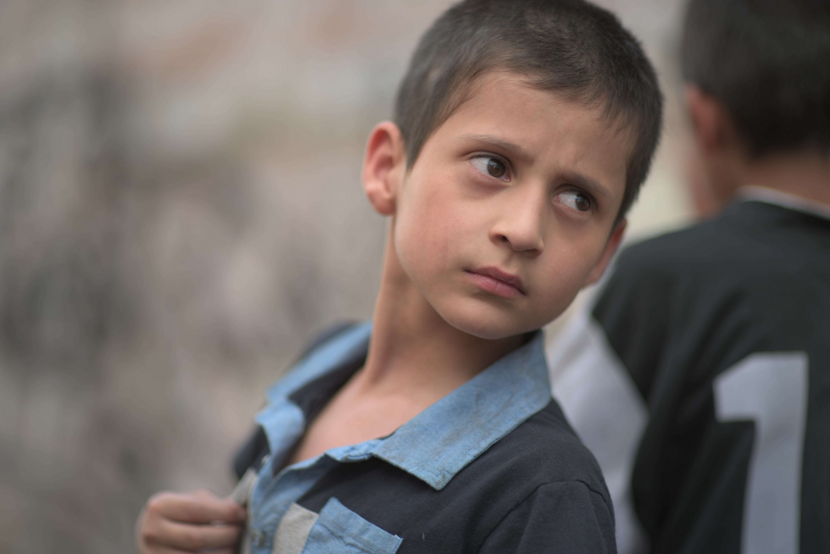 Тигры не боятся (2017)