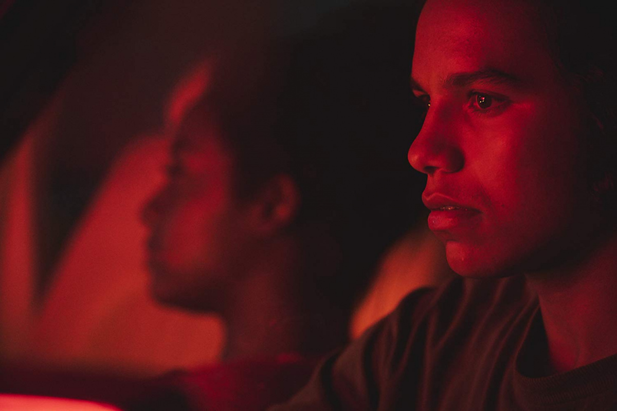 Зеленый дельфин (2019)