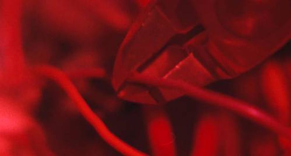 Удар пантеры (1989)