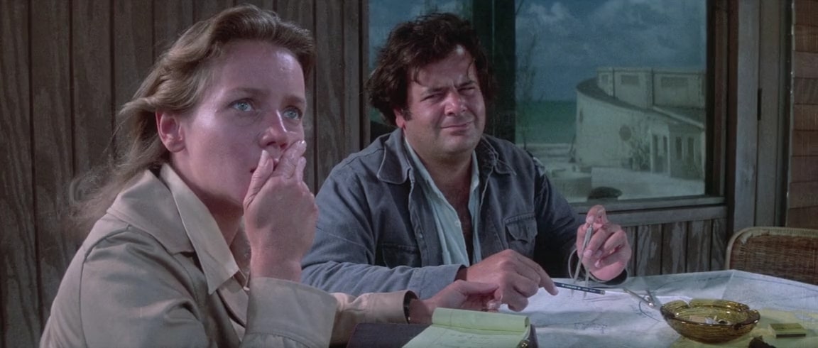 День дельфина (1973)