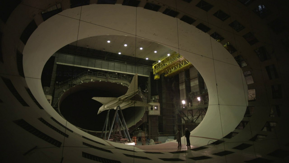 Журавль в небе (2020)