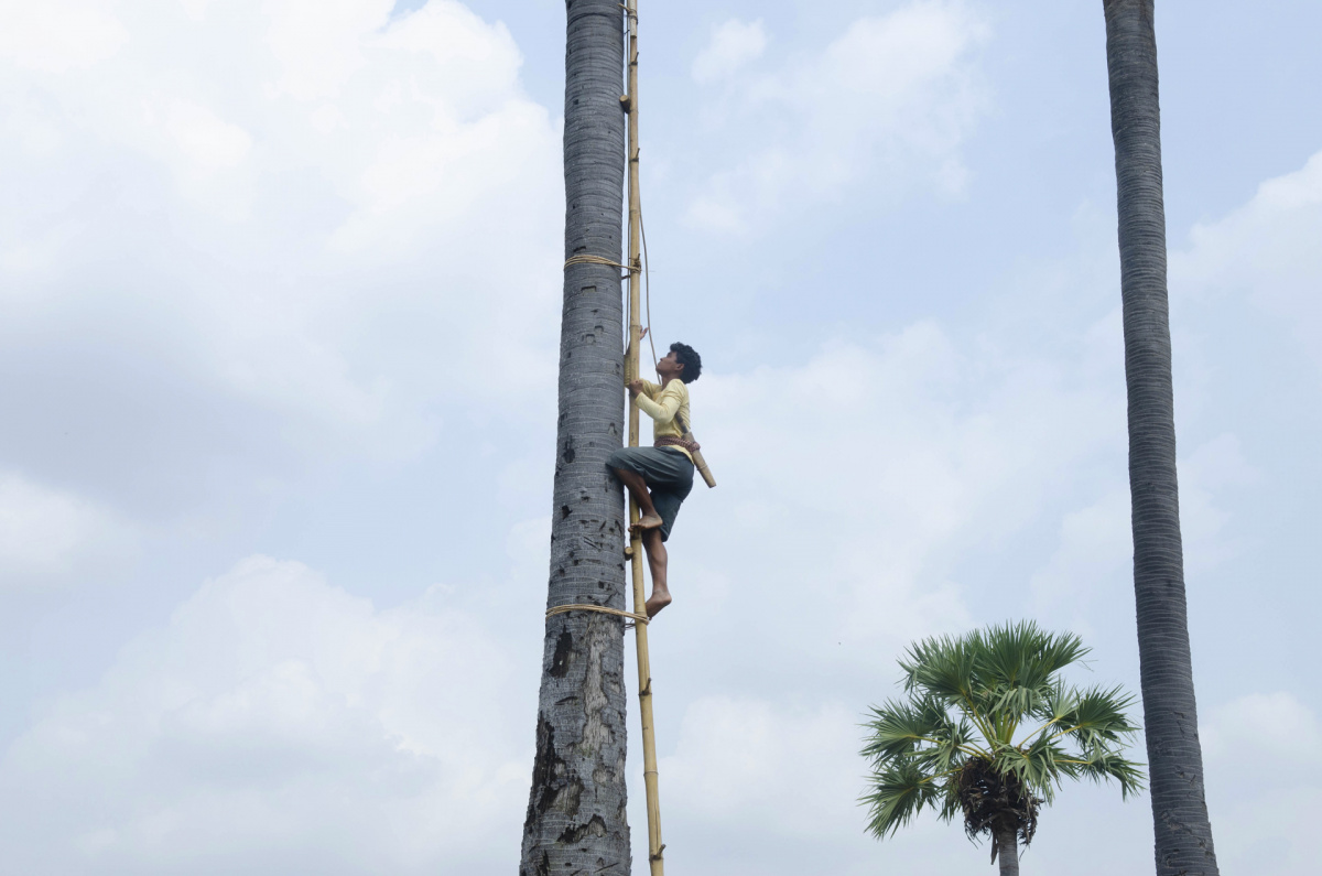 Путь к свободе (2019)