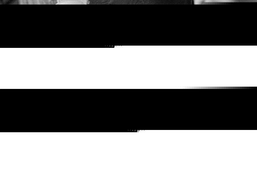 12 стульев (1971)