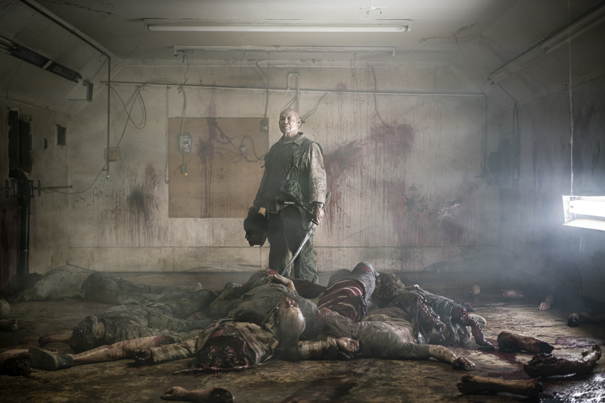 Чистота крови (2019)