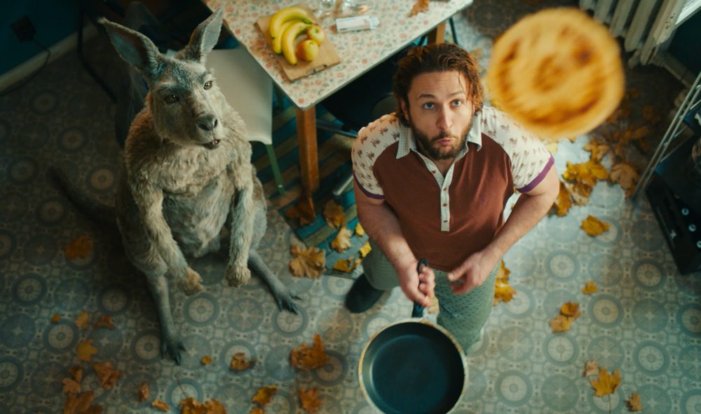 Осторожно, Кенгуру! (2020)