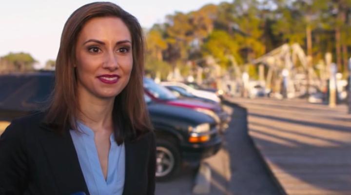 Акулы в Миссисипи (2017)