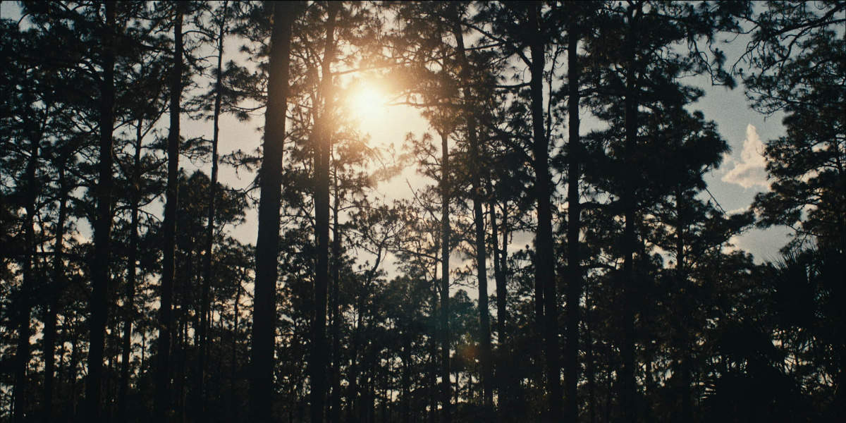 Препод: История Галатеи (2021)