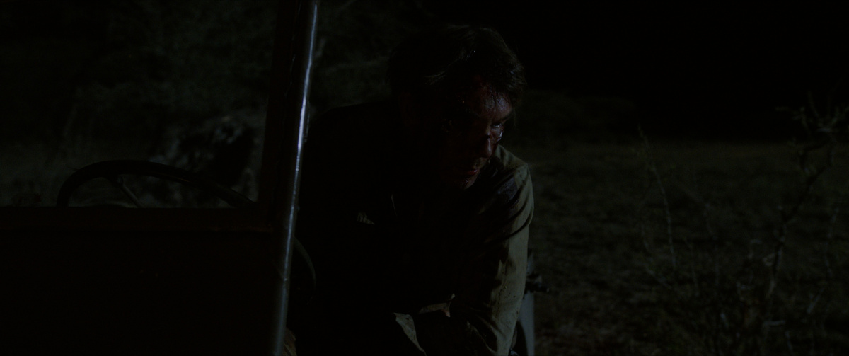 Хищники (2021)