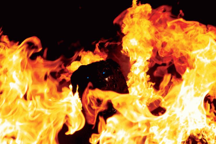 Ротвейлер (2005)