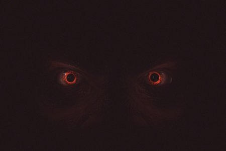 30 дней до рассвета (2006)