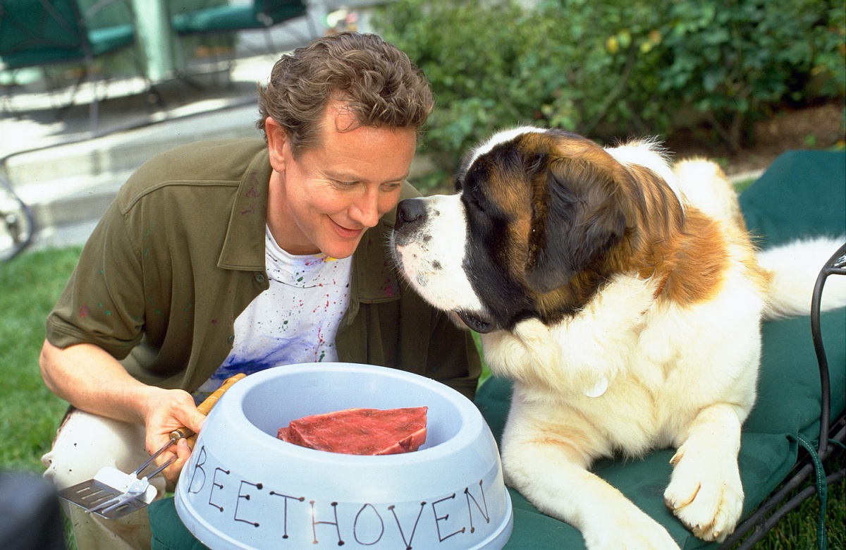 Бетховен 4 (2001)