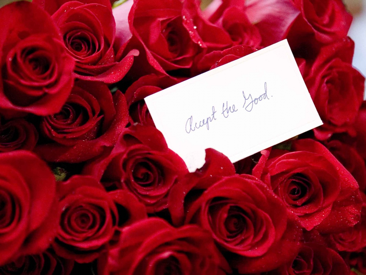 То, что мы потеряли (2007)