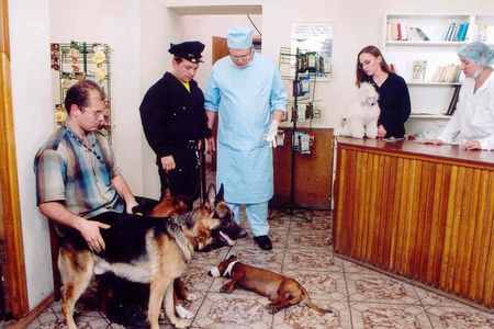 Четыре таксиста и собака (2004)