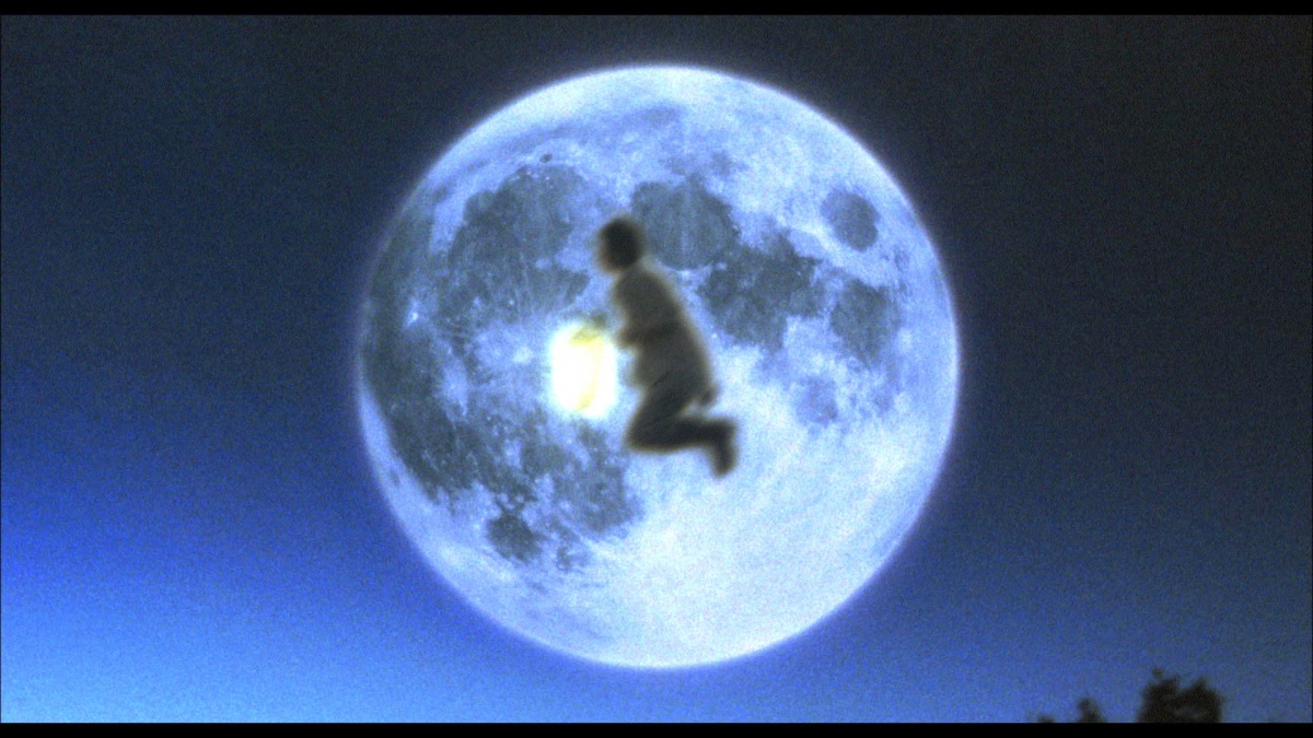 Банзай, режиссер! (2007)