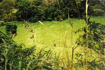 Последняя война (2001)