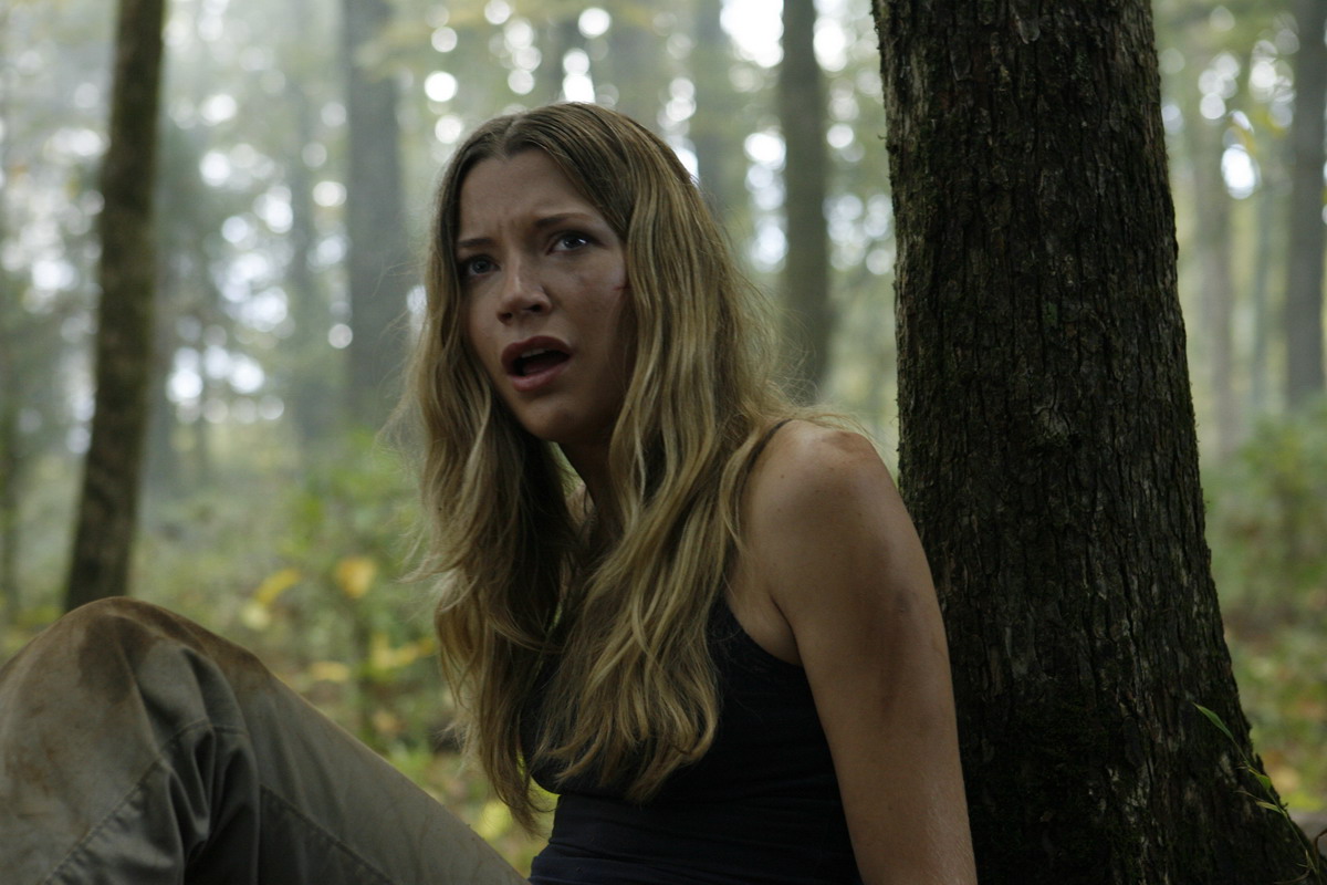 Психушка (2008)