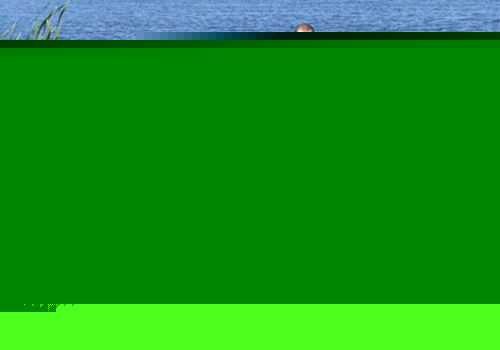 Сталин: Live (2006)