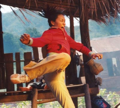 Рожденный сражаться (2004)