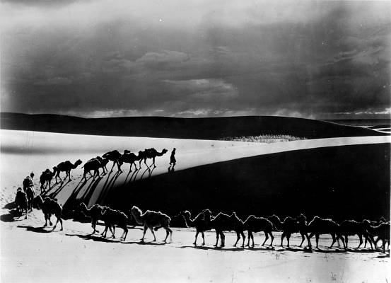 Динозавры живы! 3D (2007)