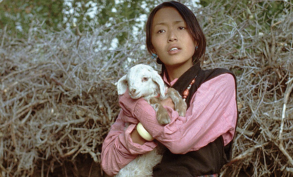 Учение Миларепы (2006)