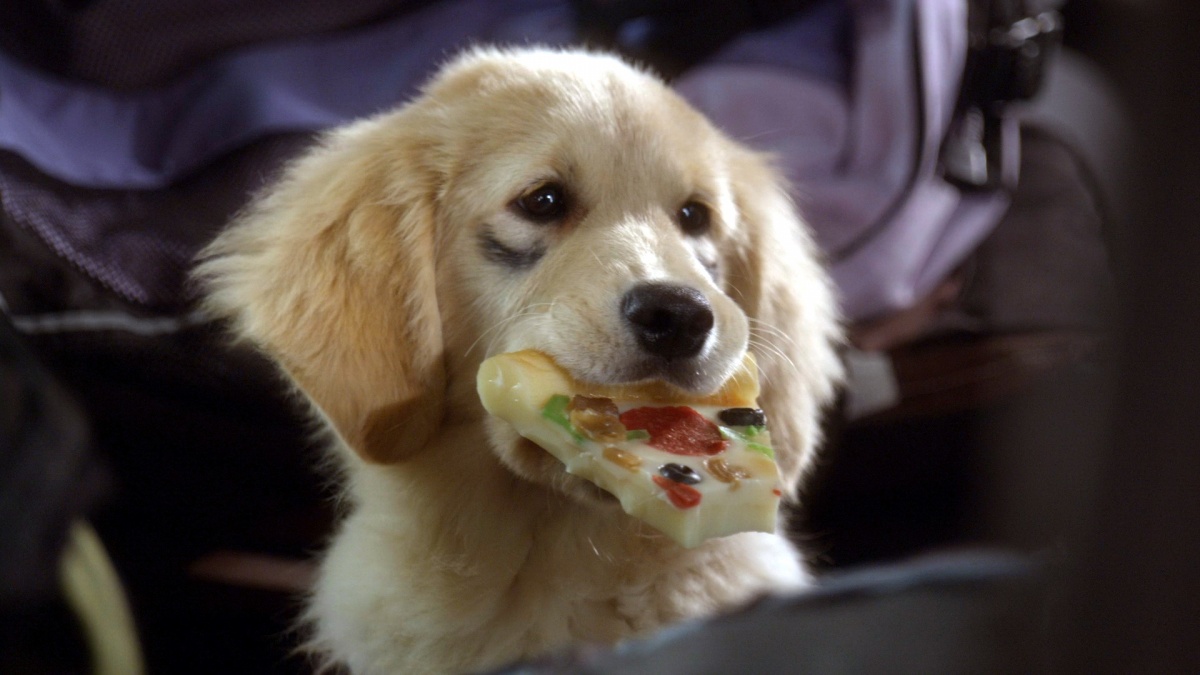 Космические друзья (2009)