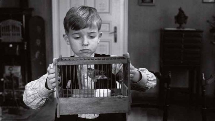 Белая лента (2009)