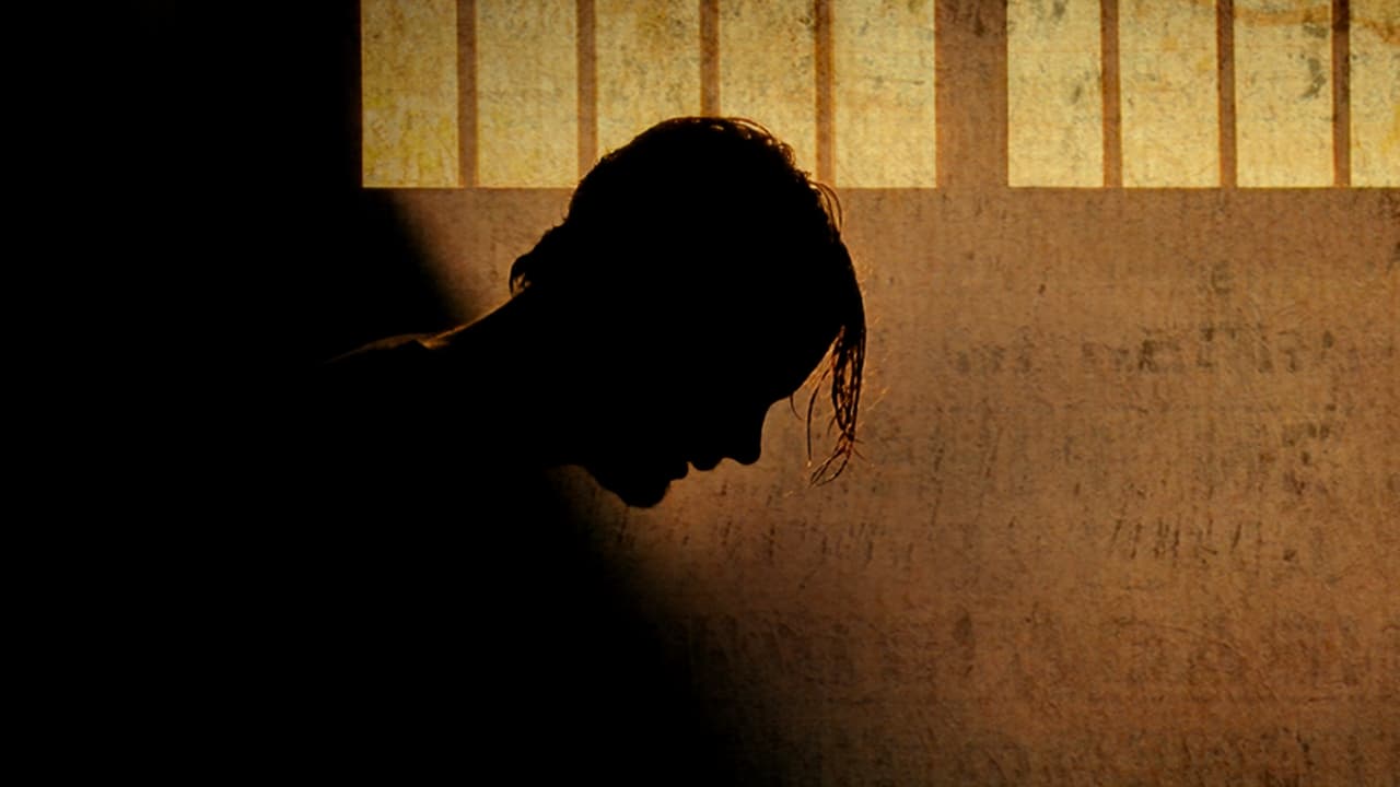 Злоключения за границей (2007)