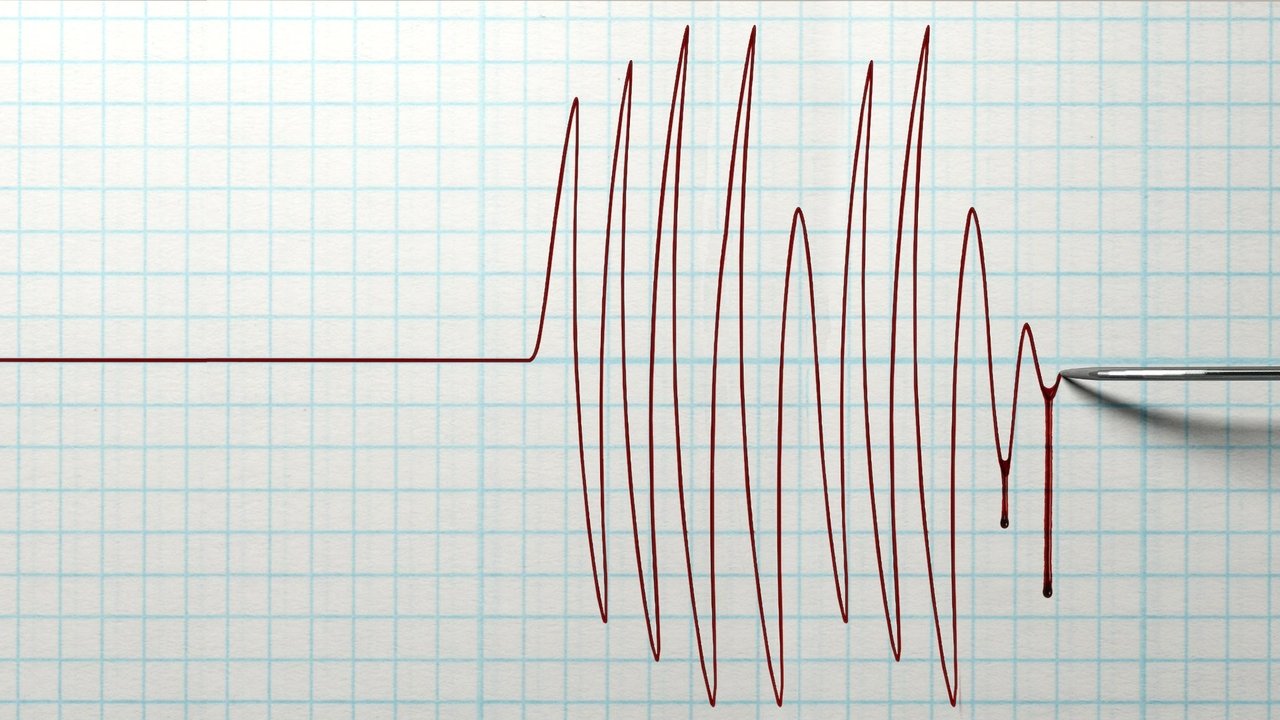 Признания убийцы (2019)