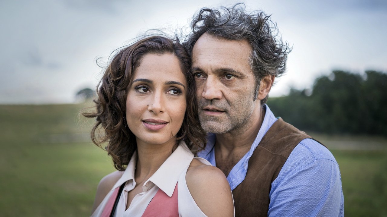 Старик Шику (2016)