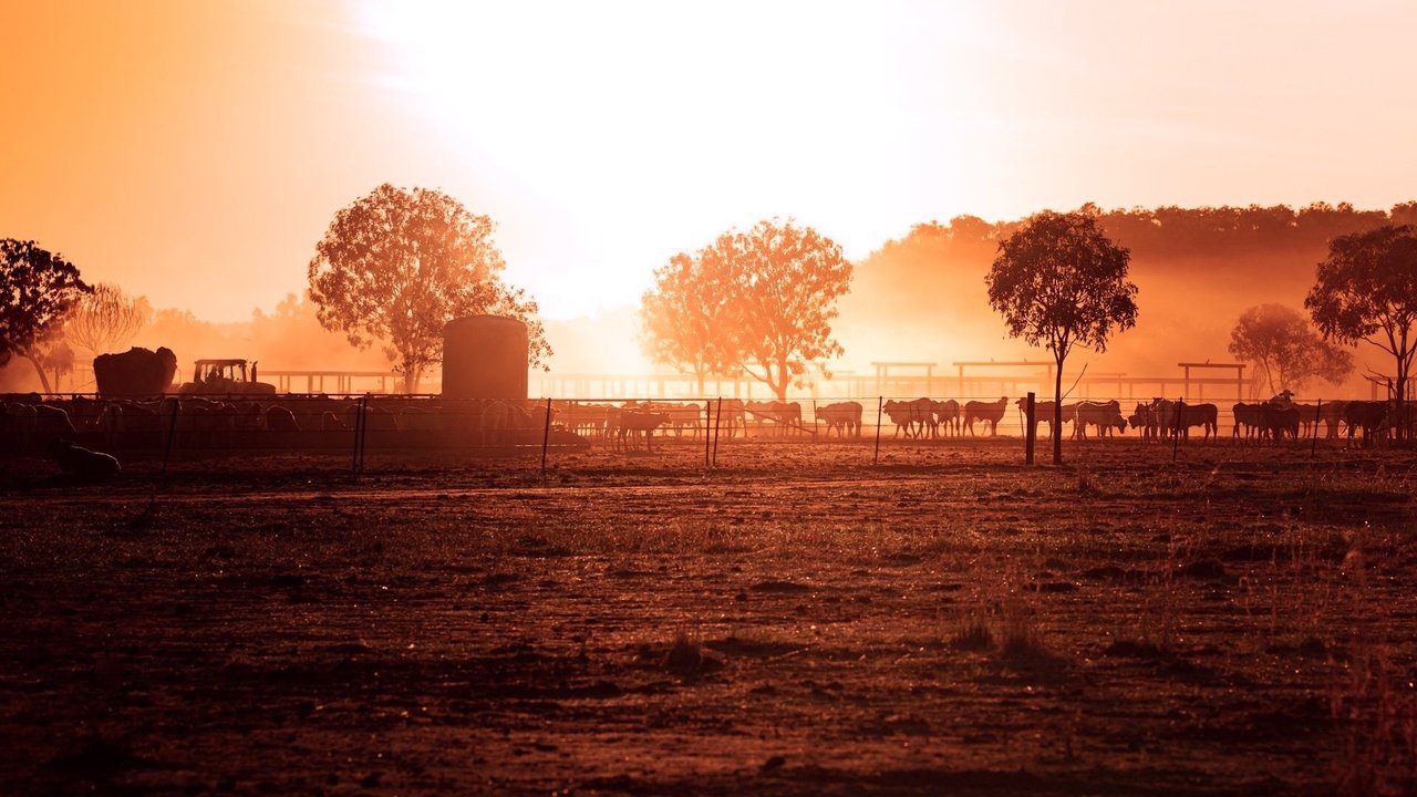 Династия грязной воды (1988)
