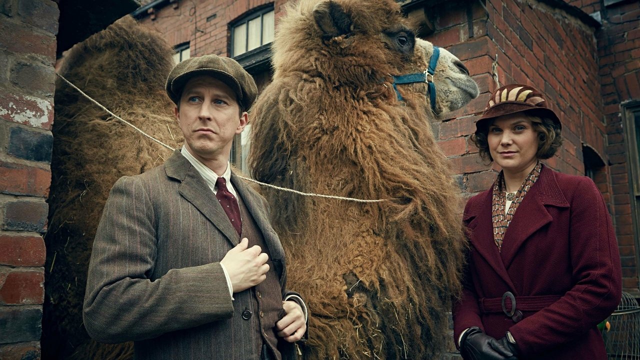 Наш зоопарк (2014)