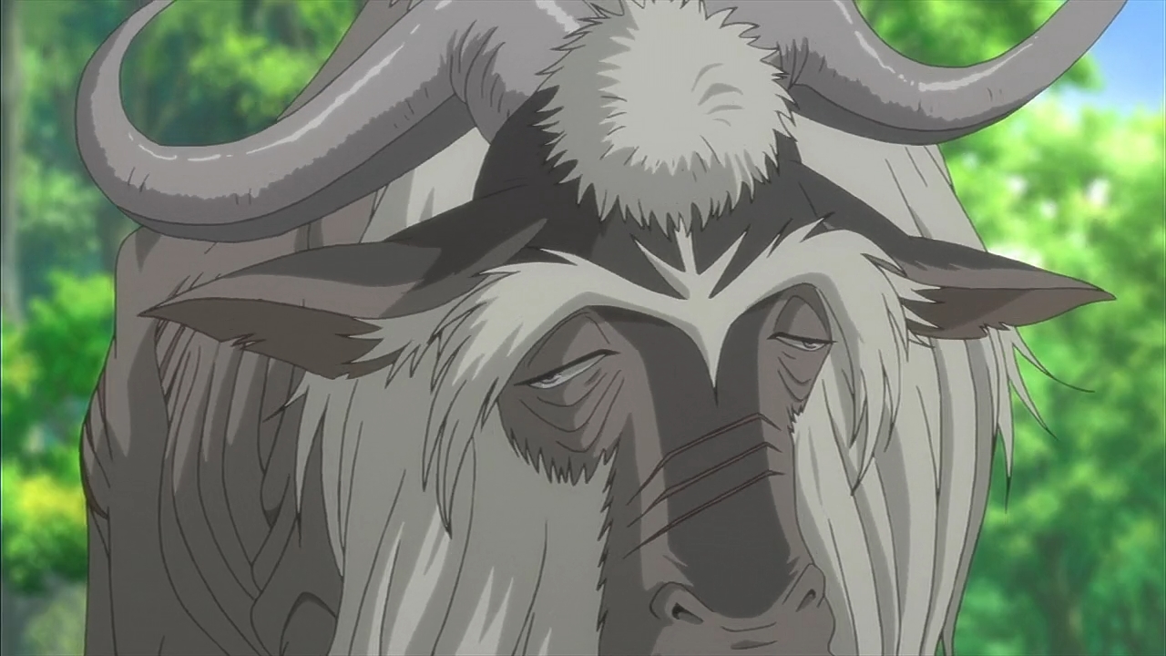 Император джунглей (2009)