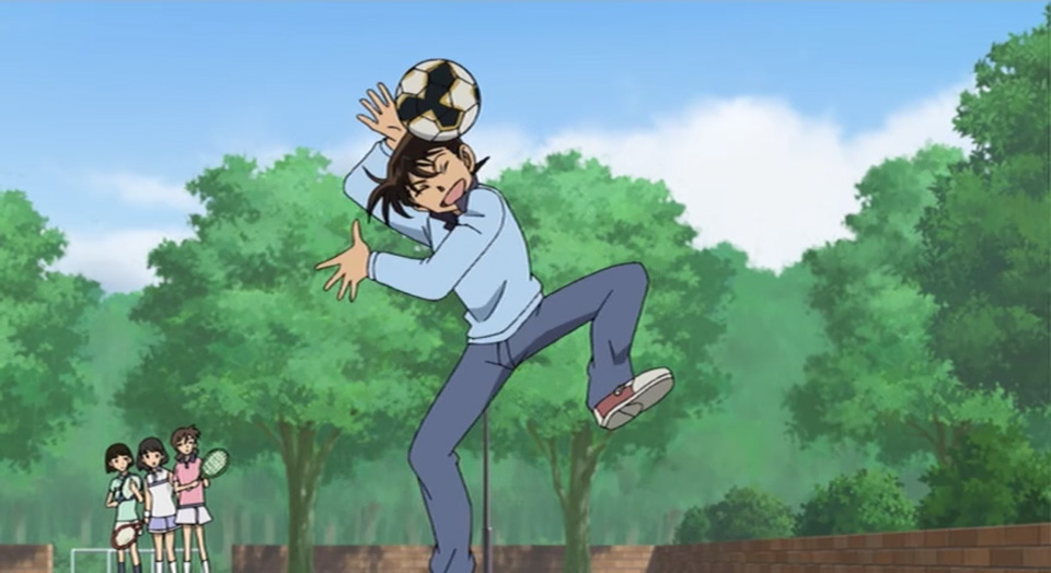 Детектив Конан: Дело о таинственной стене и чёрном лабрадоре (2008)