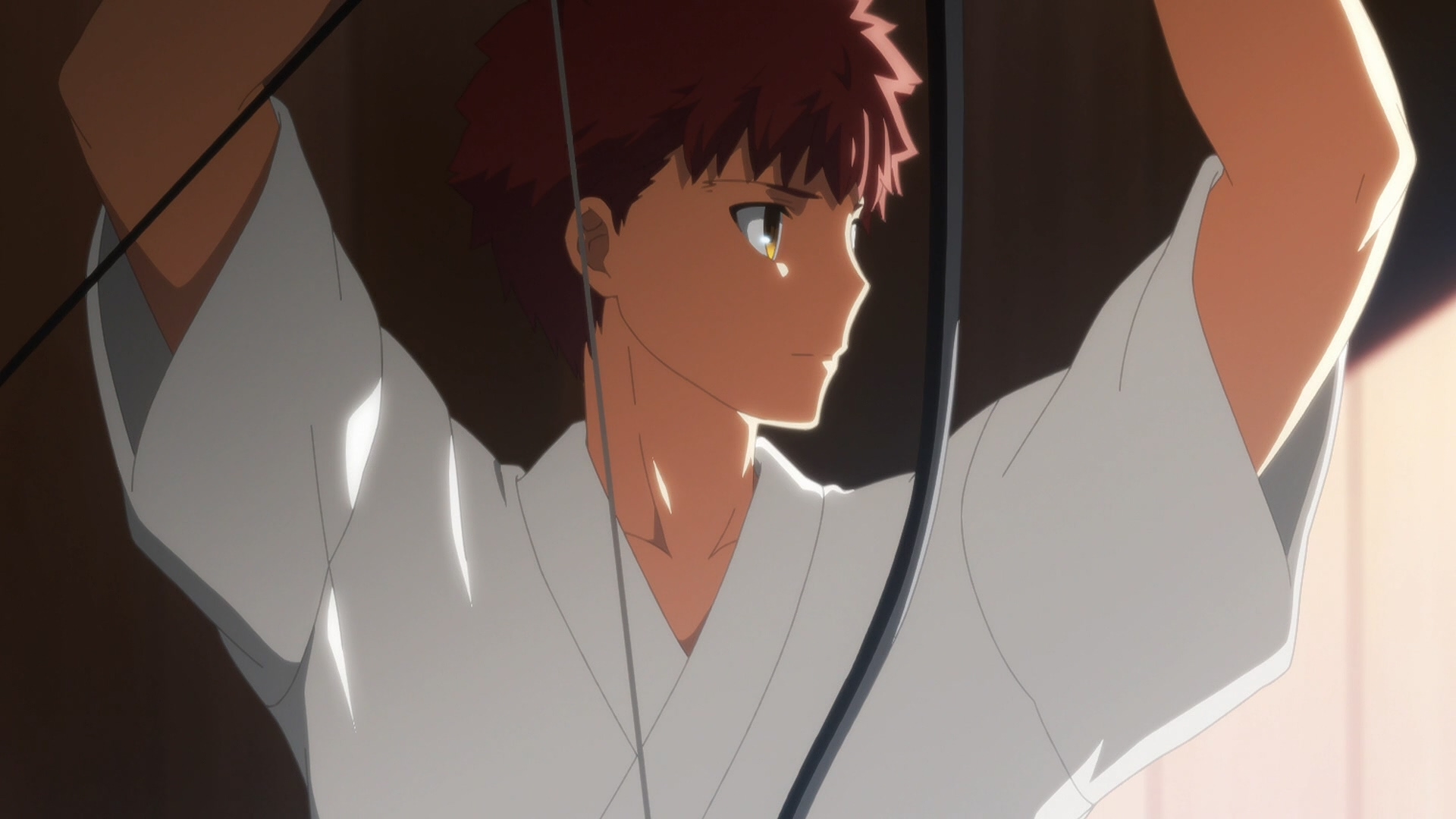 Судьба: Ночь схватки. Прикосновение небес (2017)