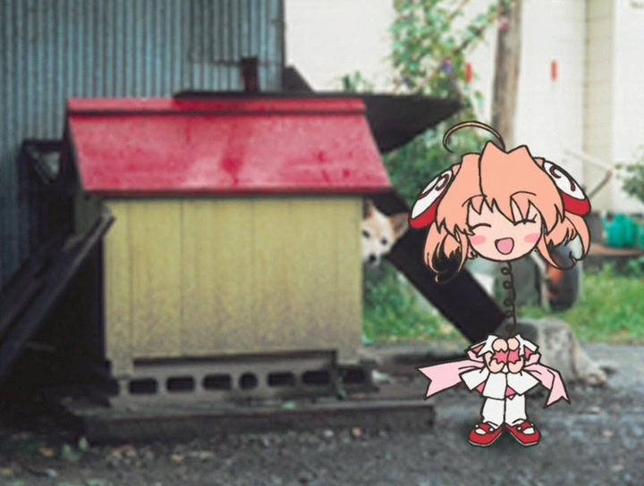 Моя Ризельмина (2002)