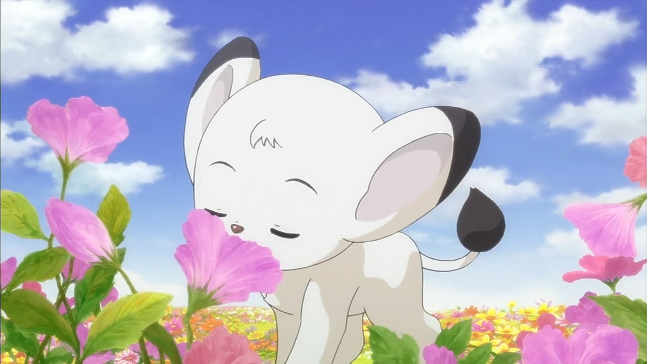 Император джунглей (2009)