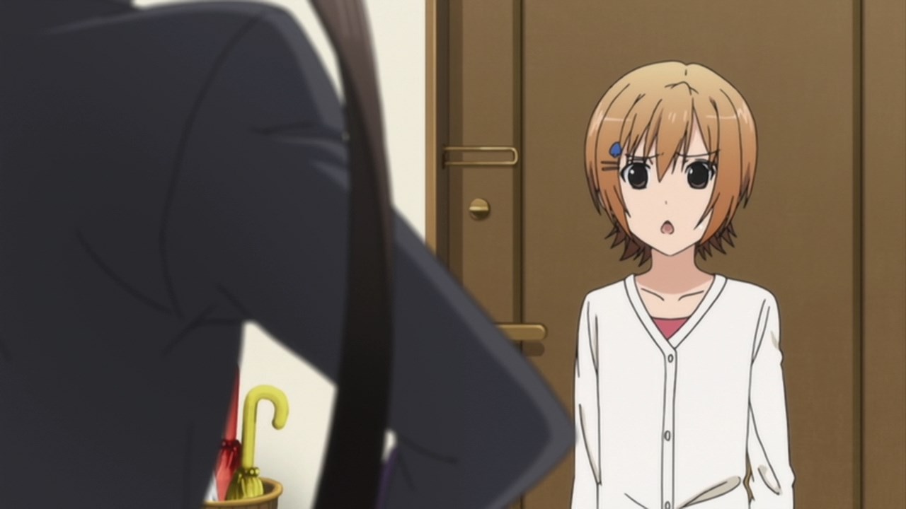 Сёстры Минами: Простите за ожидание (2012)