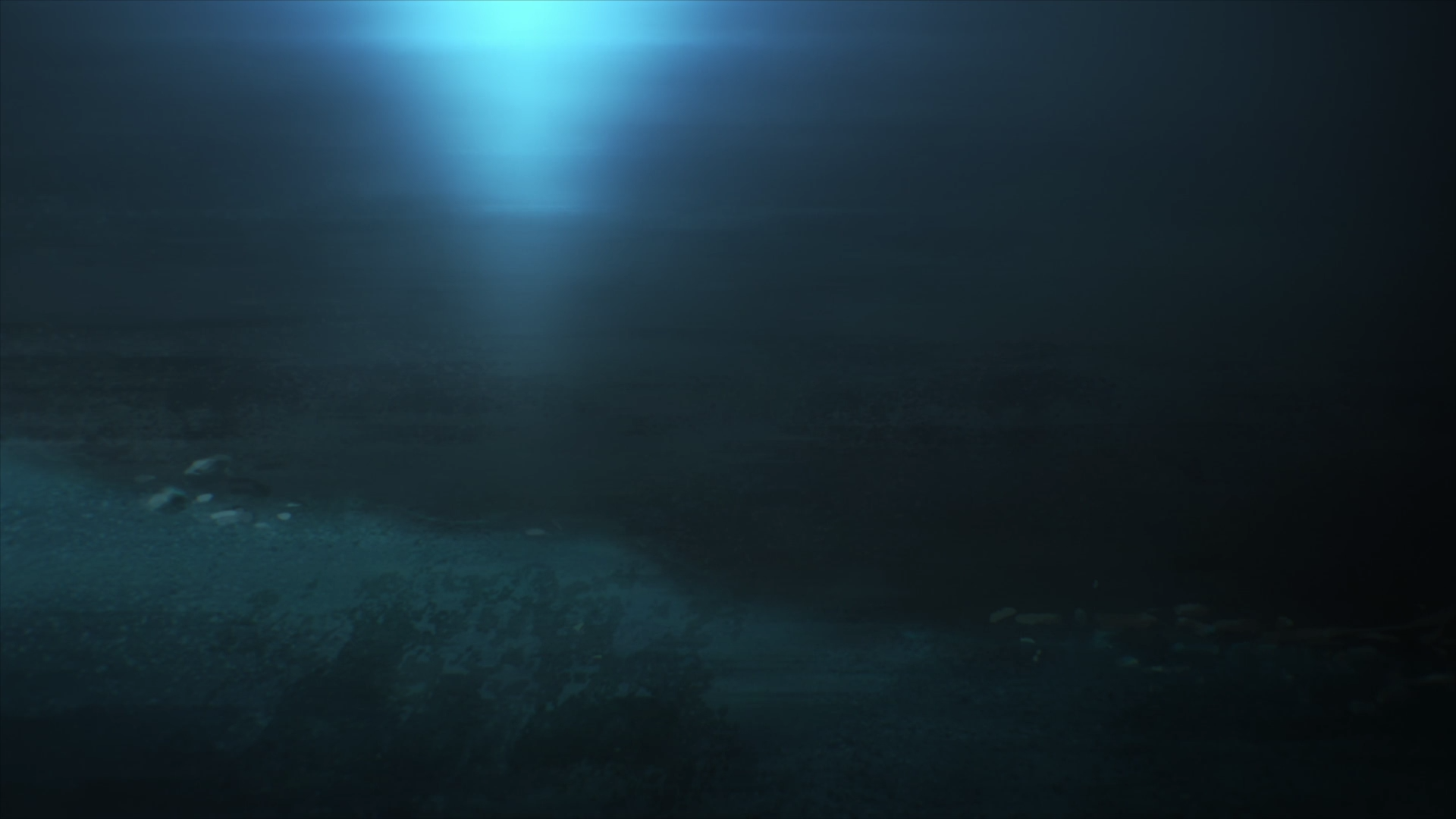 Дымная трава (2019)