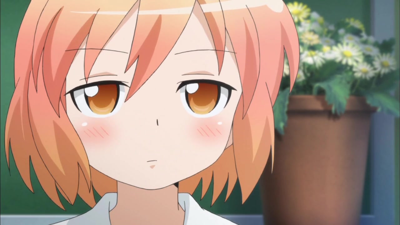 Котоура-сан (2013)