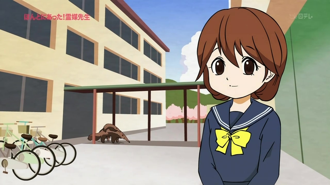 Учитель-медиум (2011)