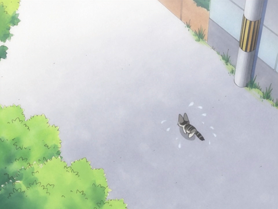 Милый дом Чии (2008)