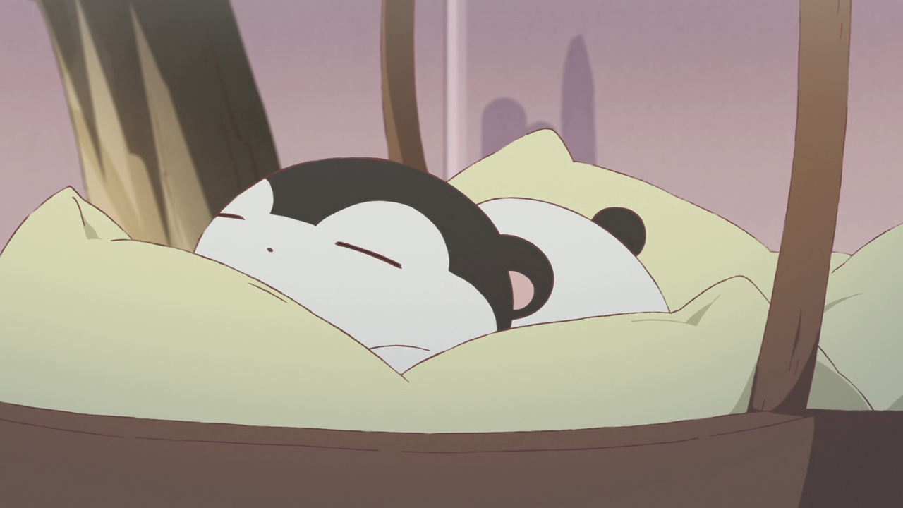 Студия Бадзя (2017)