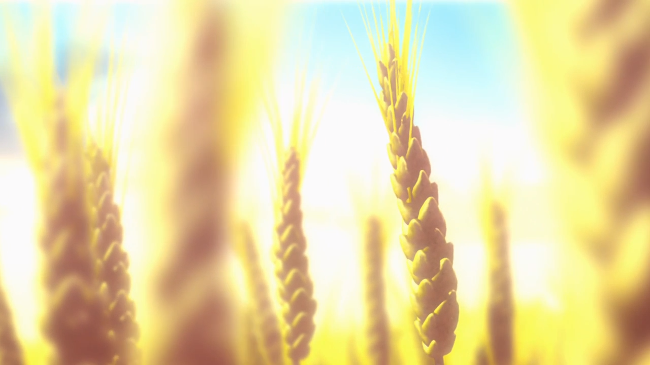 Сага о Винланде (2019)