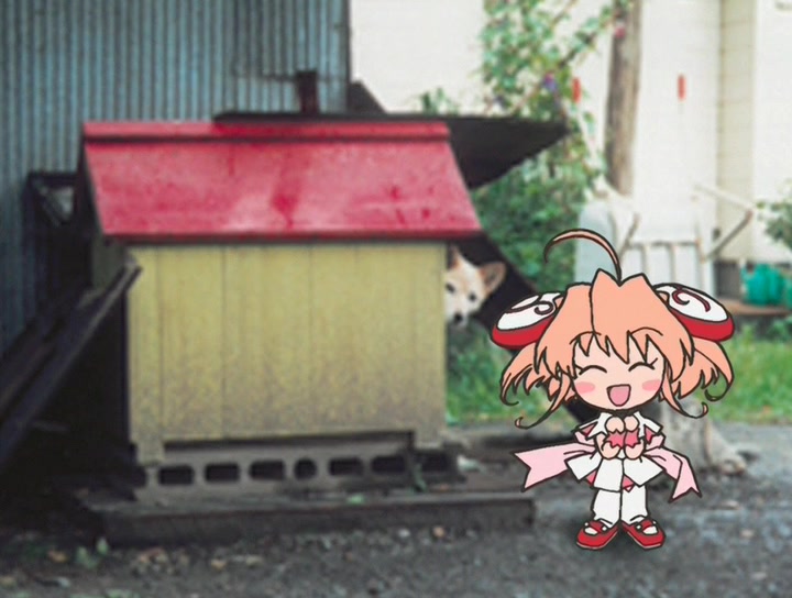 Моя Ризельмина (2002)