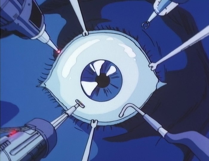 Муниципальные силы защиты Земли (1986)