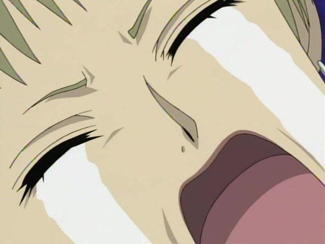 Семь обличий Надэсико Ямато (2006)