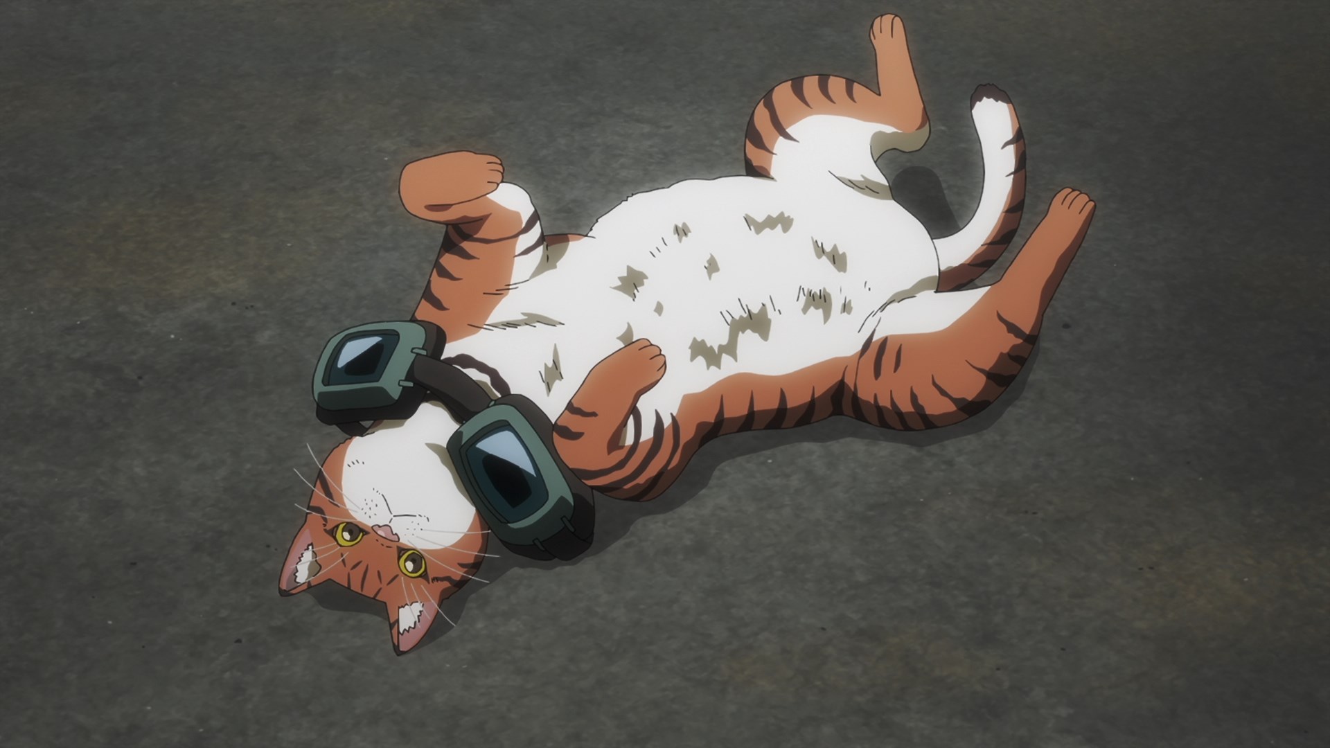 Ночь живых кошаков (2025)