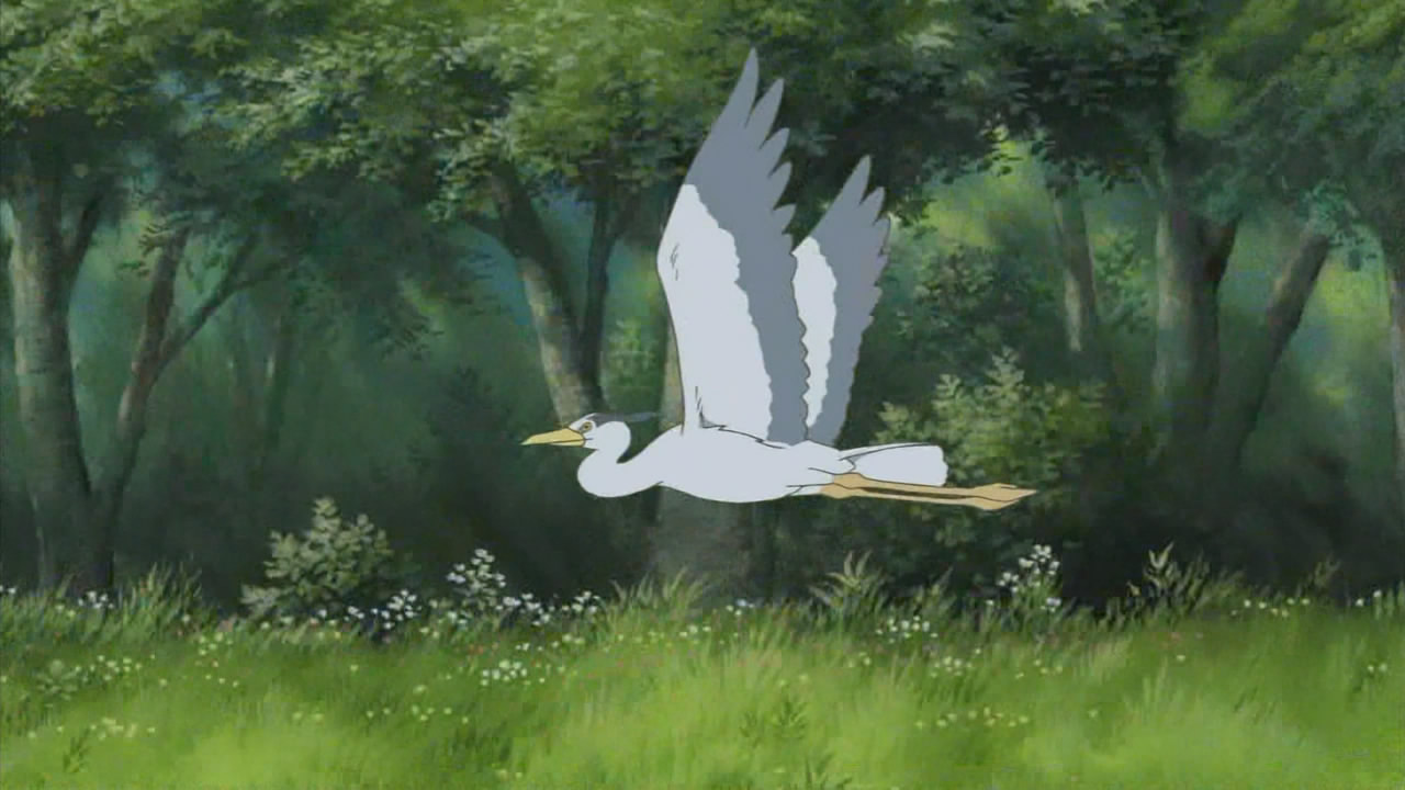 Речной свет (2009)