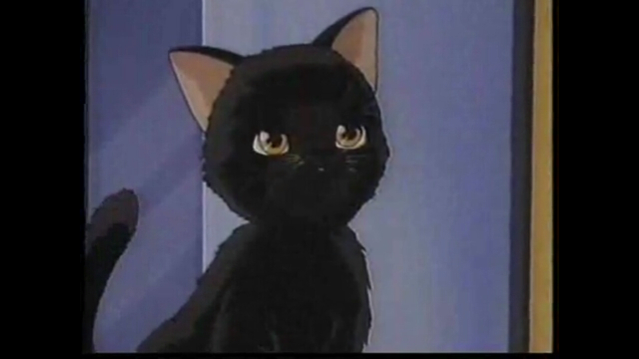 Кошачья фантазия (1991)