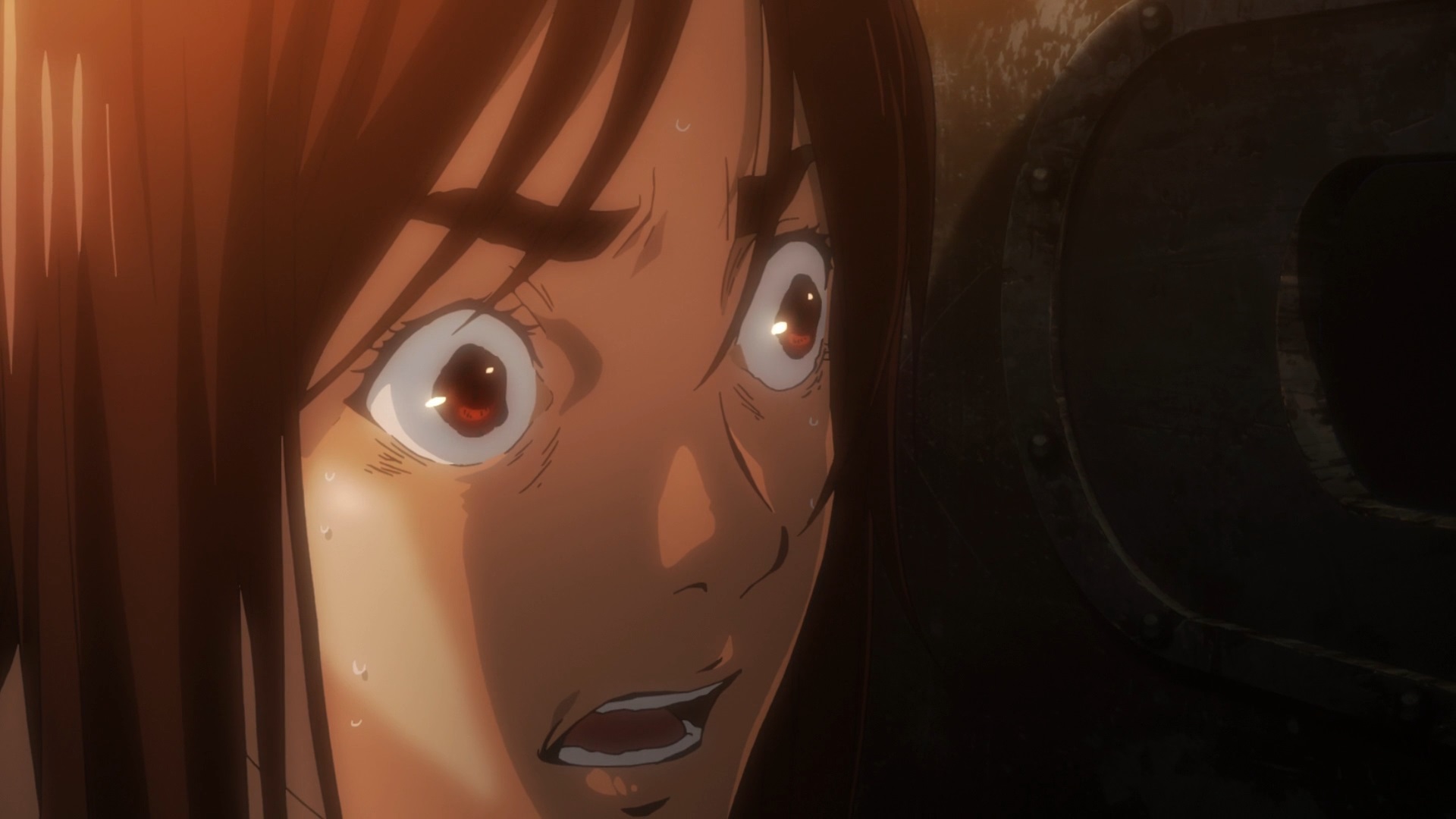 Кабанэри железной крепости (2016)